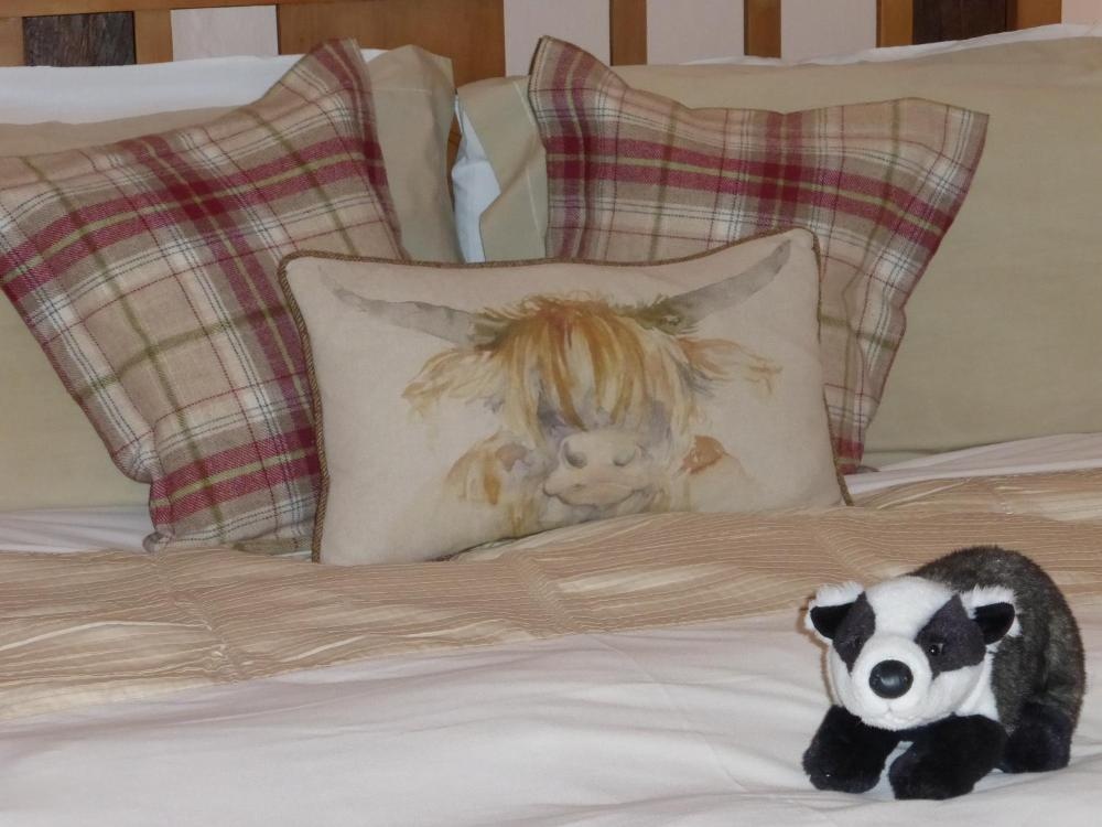 Room image 4