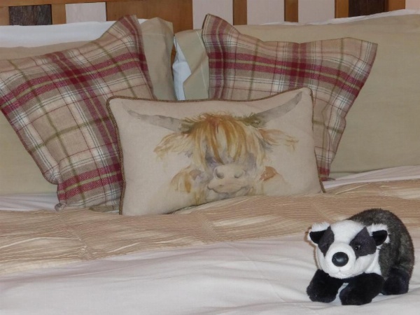 Badgers Hall image 27