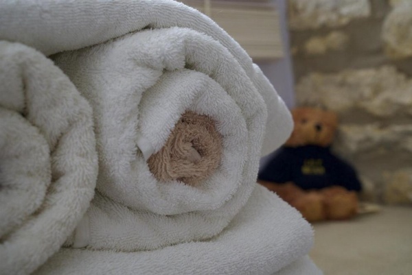 Badgers Hall image 40